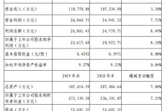 峨眉山A:2019年营收11.08亿 Q1预亏8800万元