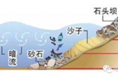 冰城公安提示：请注意！ 远离12处危险水域