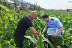 冰城公安：深入踏查 坚决防止非法种植毒品原植物