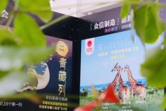 众信旅游2024半年度业绩亮眼，实现显著增长与创新升级