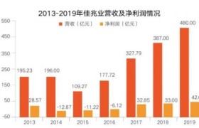 佳兆业:业绩强劲增长 2020年将稳步跨越千亿