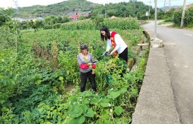 防范于心，反诈于行——鼎和保险贵州分公司开展“全民反诈在行动”集中宣传月活动